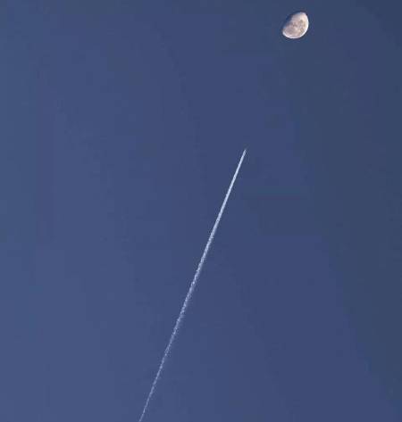 wechatimg83.jpeg wechatimg83.jpeg