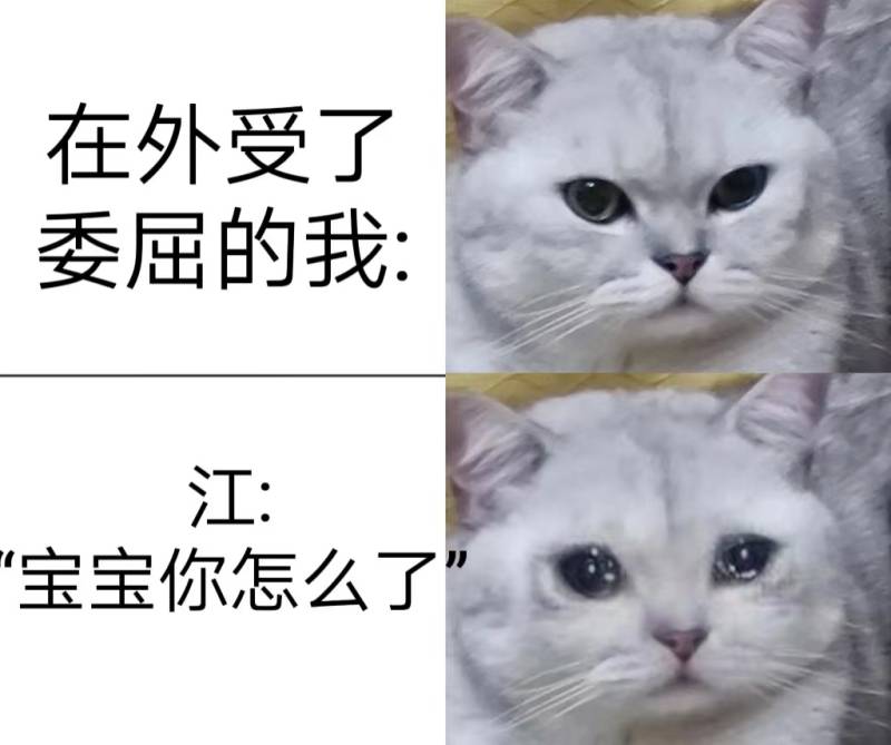 表情3.jpg 表情3.jpg